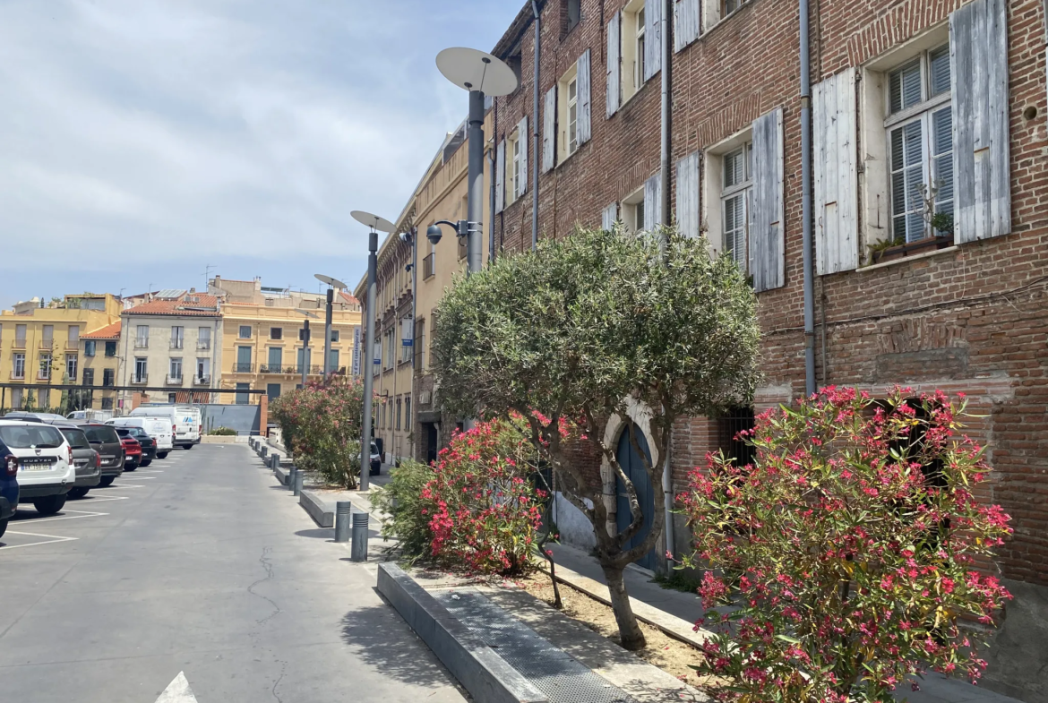 Appartement atypique avec terrasse au dernier étage à Perpignan 