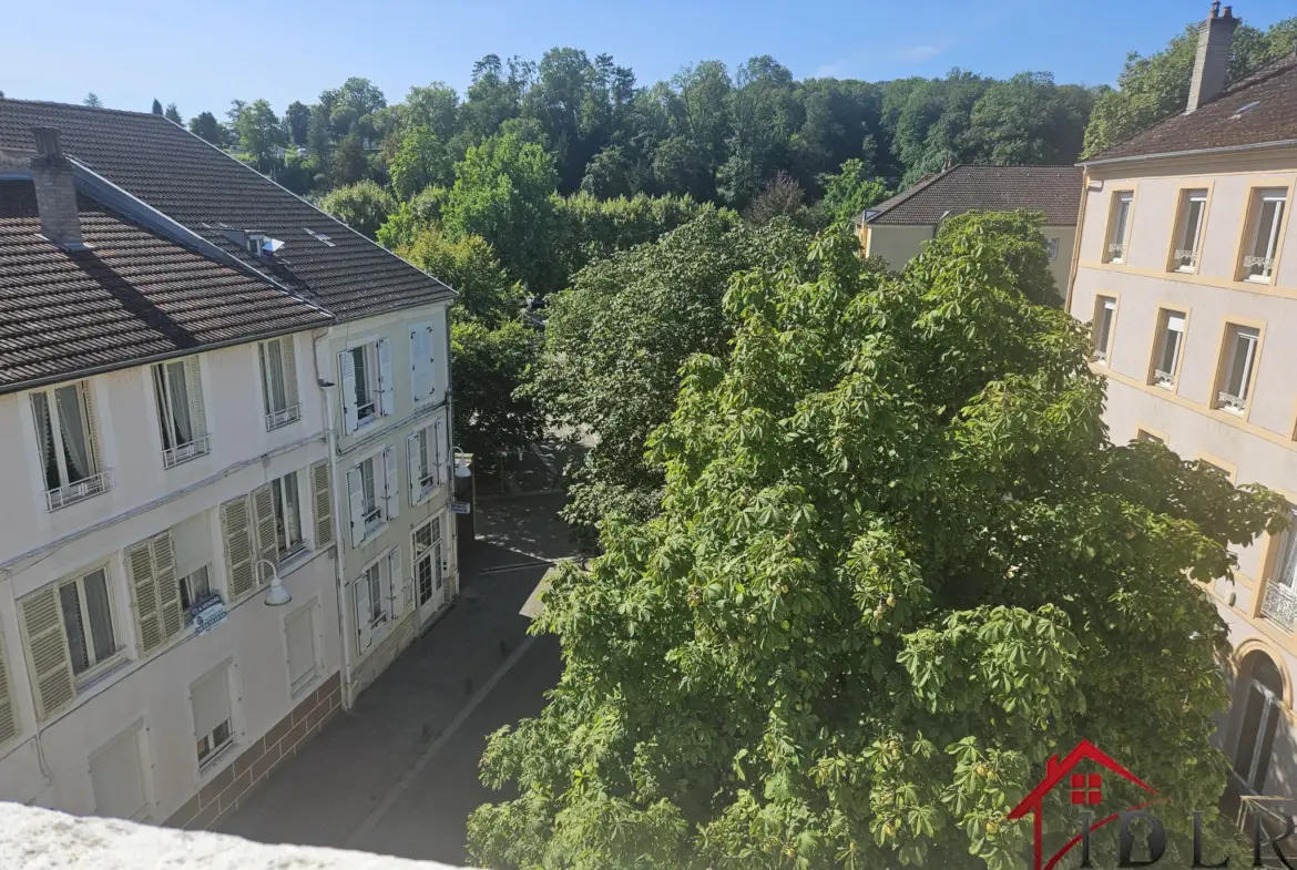 Immeuble de prestige à vendre à Bourbonne-les-Bains, 3 logements loués 