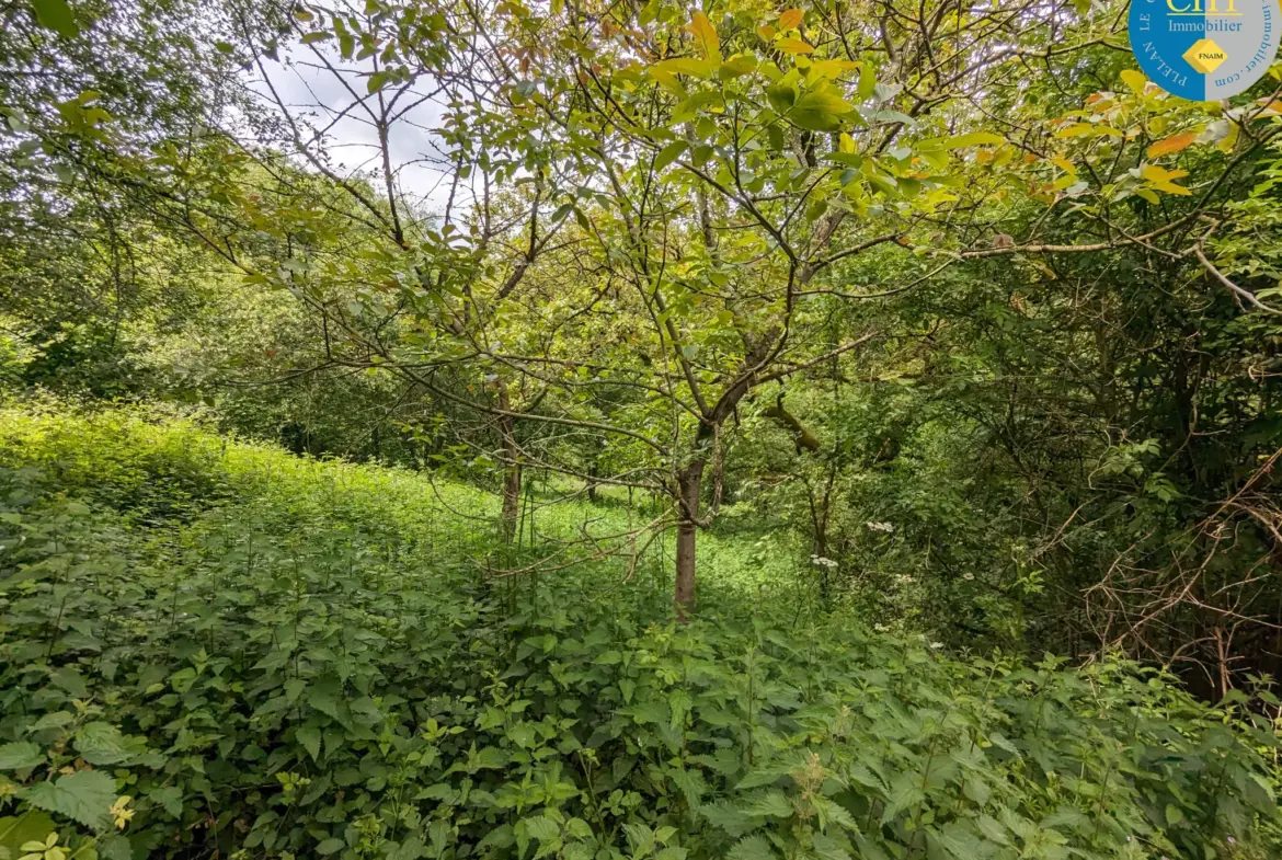 Maison en pierres avec 3 chambres à Beignon (56) à vendre 