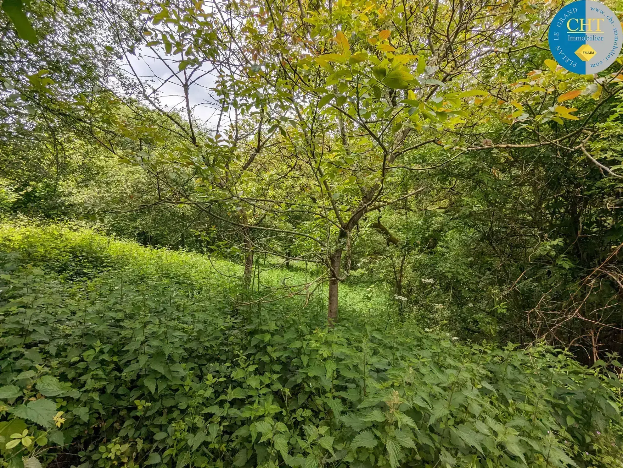 Maison en pierres avec 3 chambres à Beignon (56) à vendre 